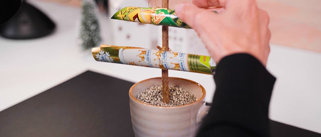 DIY-Tannenbaum in Tasse fixiert | DIY-Idee Tannenbaum