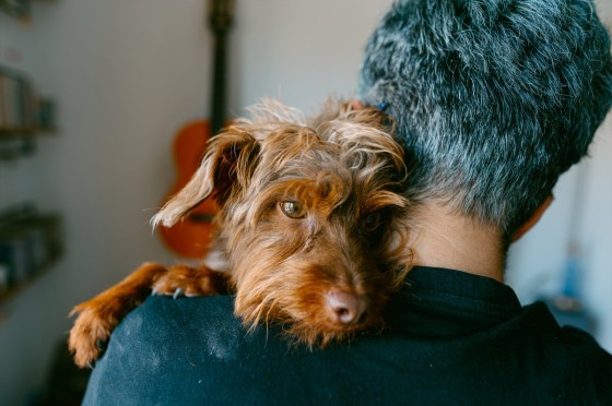 Hund kuschelt sich an Schulter einer Mannes | Eurojackpot